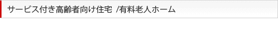 サービス付き高齢者向け住宅/有料老人ホーム